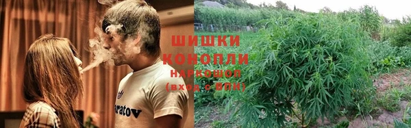 амф Алзамай
