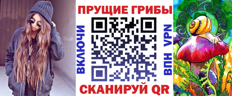 Псилоцибиновые грибы Psilocybe  Домодедово 